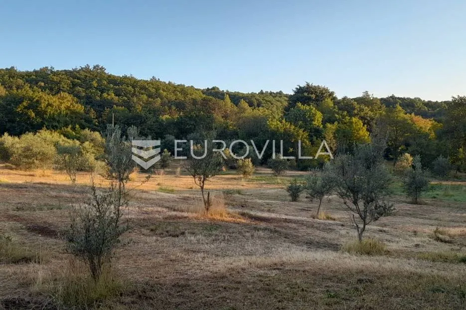 labin okolica, stara kamena kuća s 27.000 m² poljoprivrednog zemljišta, vinograd i voćnjaci - slika 3