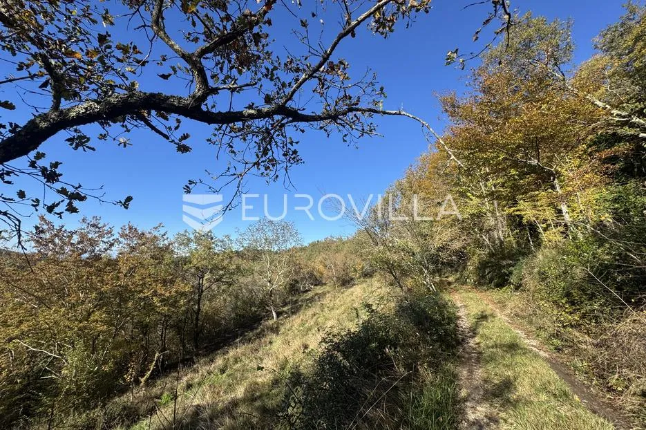 istra, grožnjan, građevinsko zemljište 1529m2 s idejnim projektom za gradnju vile s infinity bazenom - slika 13