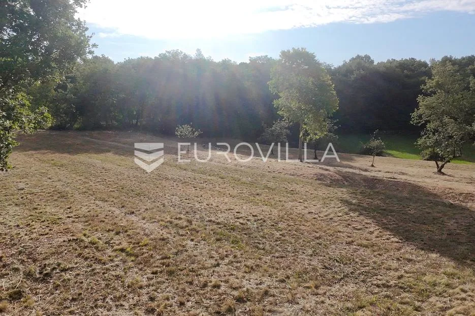istra, tinjan, građevinsko zemljište nkp 3623 m2 - slika 25