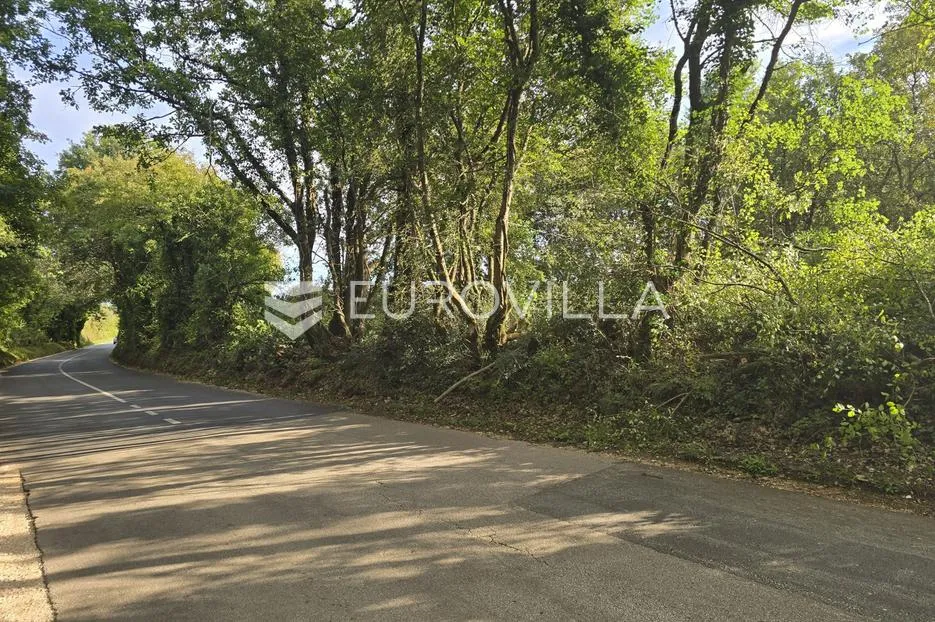 istra, krnica, poljoprivredno zemljište 3854 m² - slika 5