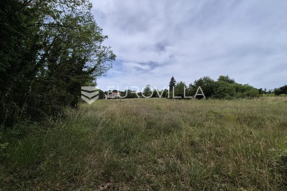 Istra, Cvitani, građevinsko zemljište s idejnim rješenjem - Sveti Ivan, Višnjan