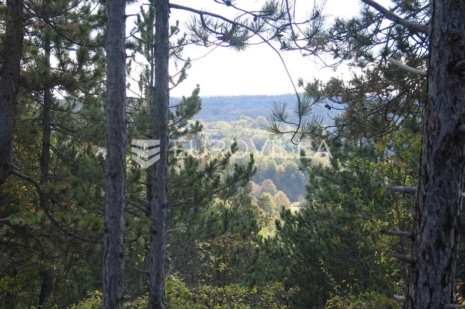 istra, grašćišće, jedinstveno građevinsko zemljište 2000 m² okruženo stoljetnom šumom 36789 m² - slika 11