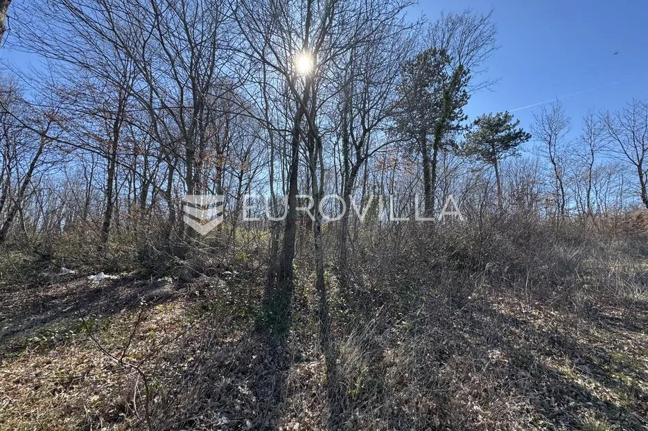 istra, barban, građevinsko i poljoprivredno zemljište 3260m2 u mirnom djelu - slika 3
