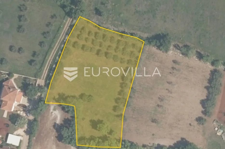 istra, tar, građevinsko zemljište 3330 m2 - slika 2