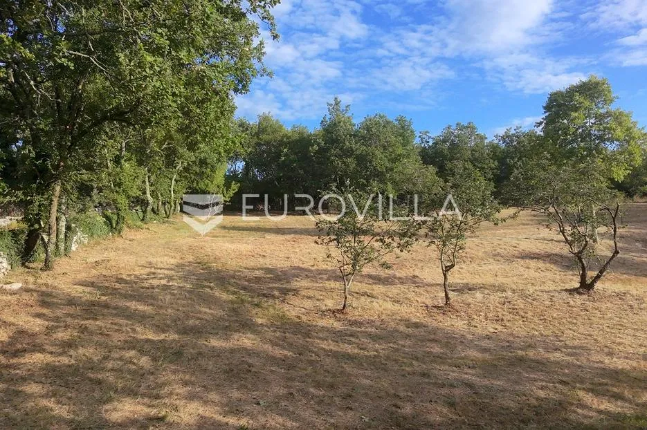 istra, tinjan, građevinsko zemljište nkp 3623 m2 - slika 3