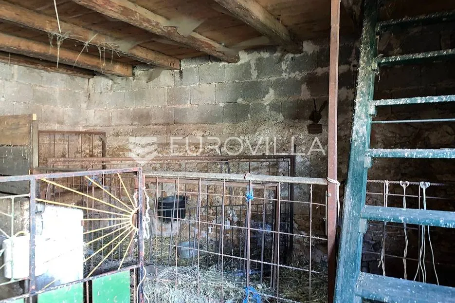 istra, barban, dvojna kamena kuća za adaptaciju - slika 14