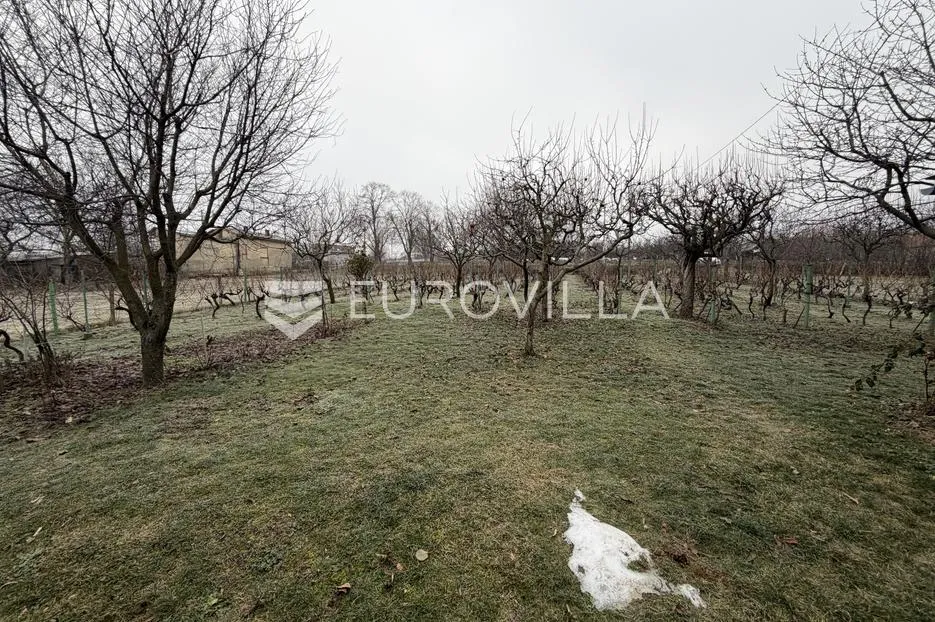 mandićevac, vikendica 66 m² s vinogradom, izvrsna investicija - slika 15