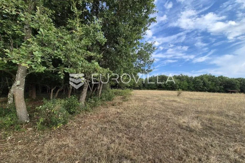 kaštelir, cerjani, poljoprivredno zemljište 24.118 m² s vlastitom šumom - slika 8