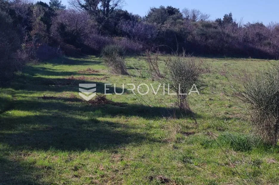 ližnjan, veliko poljoprivredno zemljište 7340 m2 s pogledom more - slika 3