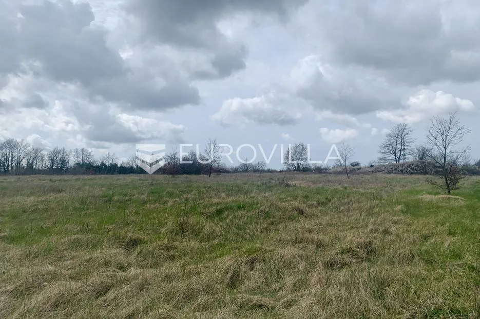 istra, svetivinčenat, građevinsko zemljište sa projektom - slika 4