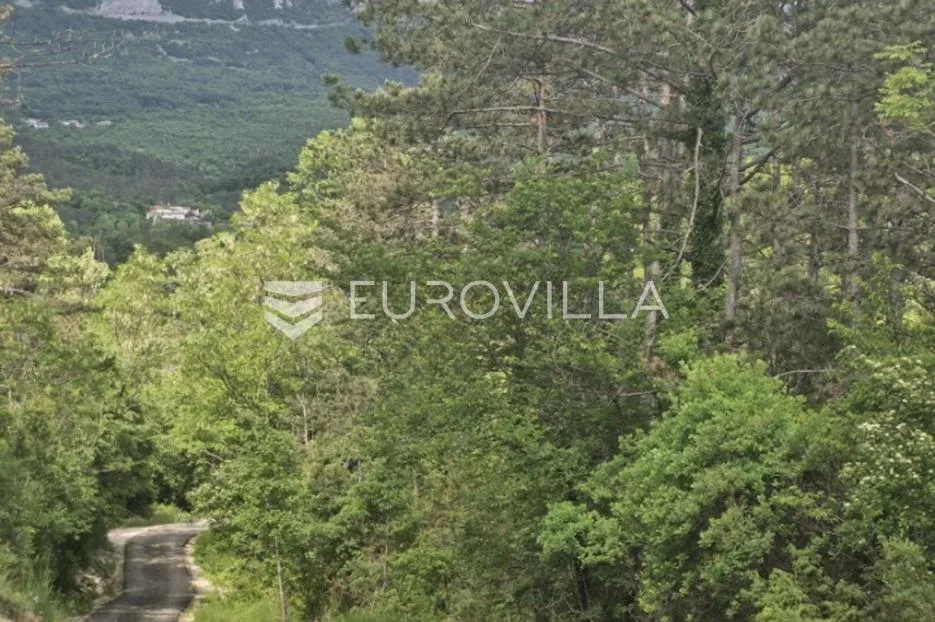 buzet, črnica, građevinsko zemljište 1920 m² - slika 3