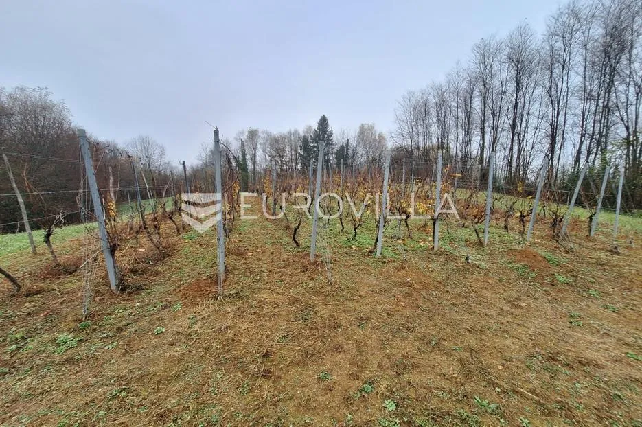 Duga Resa, Galović Selo, poljoprivredno zemljište 1400 m2 s vinogradom - Galović Selo, Duga Resa