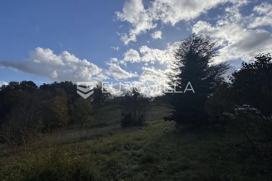 istra, heki, građevinsko zemljište 1999 m2 u centru istre - slika 5