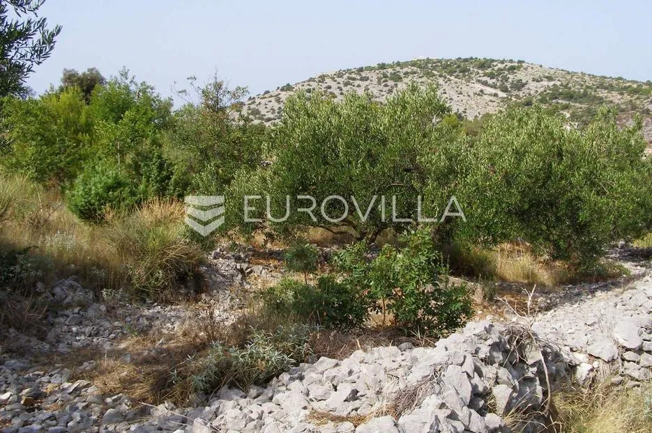 ražanj, poljoprivredno zemljište, 955 m². - slika 5