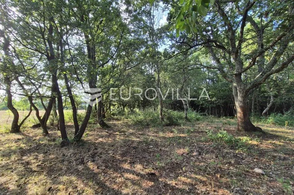 kaštelir, cerjani, poljoprivredno zemljište 24.118 m² s vlastitom šumom - slika 7