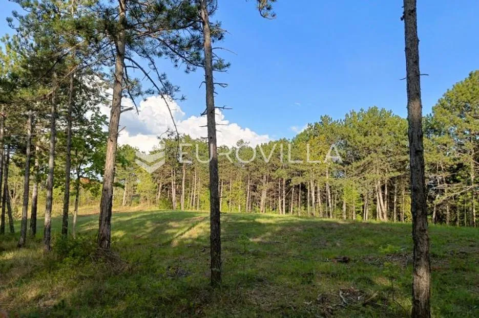 istra, grašćišće, jedinstveno građevinsko zemljište 2000 m² okruženo stoljetnom šumom 36789 m² - slika 9
