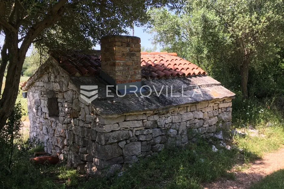 istra, rovinjsko selo, prostrano poljoprivredno zemljište 27672m2 - slika 2