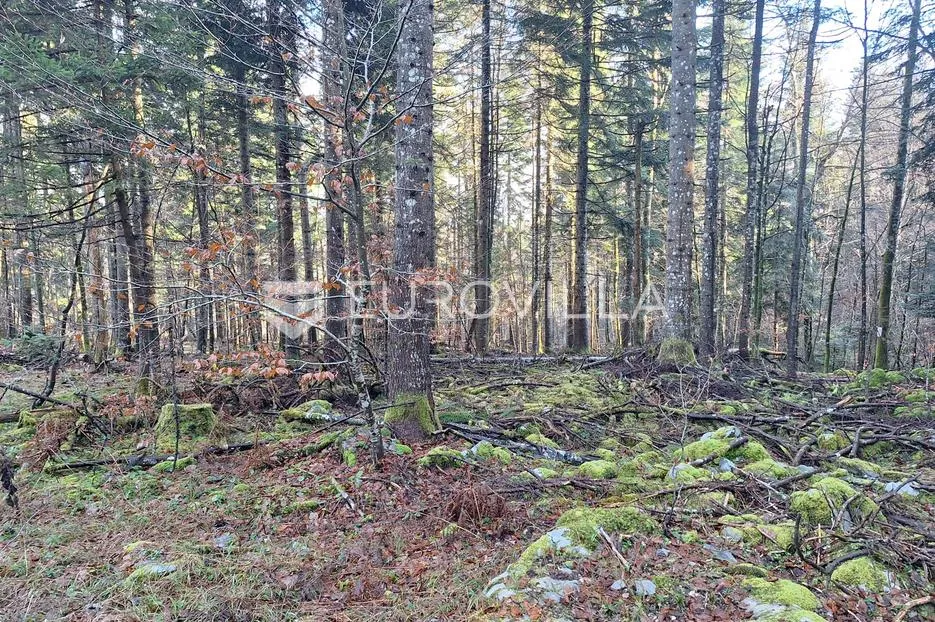 vrbovsko, lukovdol, poljoprivredno zemljište 31000 m², mogućnost gradnje - slika 6