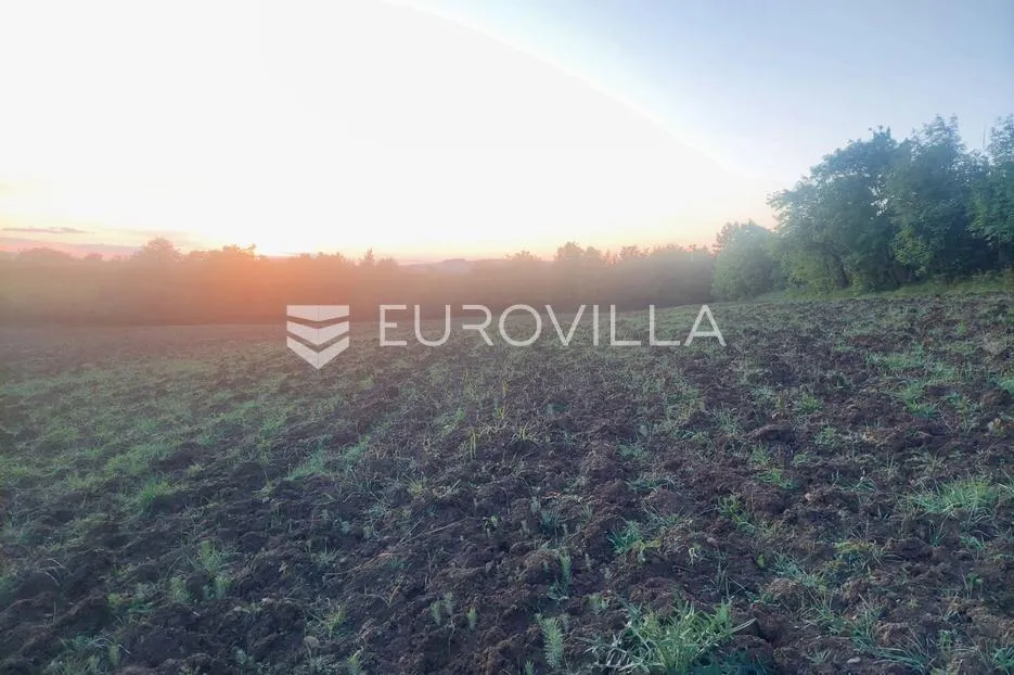 istra, draguć, poljoprivredno zemljište pogodno za vinograd 11174m2 tik ispod naselja - slika 4