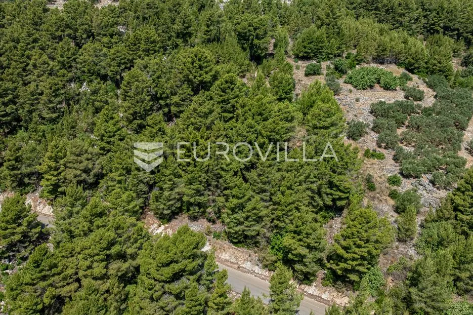 otok korčula, blato, uvala gršćica, poljoprivredno zemljište blizu mora - slika 6