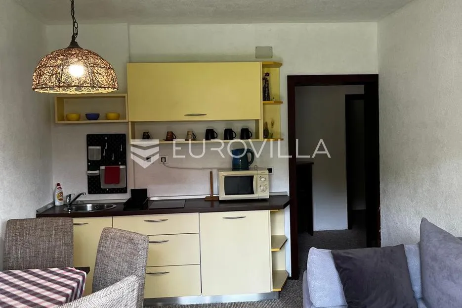kuća, plitvice, rakovica, 4 apartmana, okućnica 1200 m² - slika 16