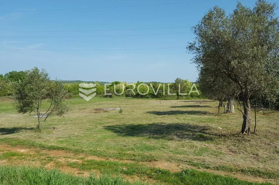 istra, rovinjsko selo, poljoprivredno zemljište 7217m2 - slika 4