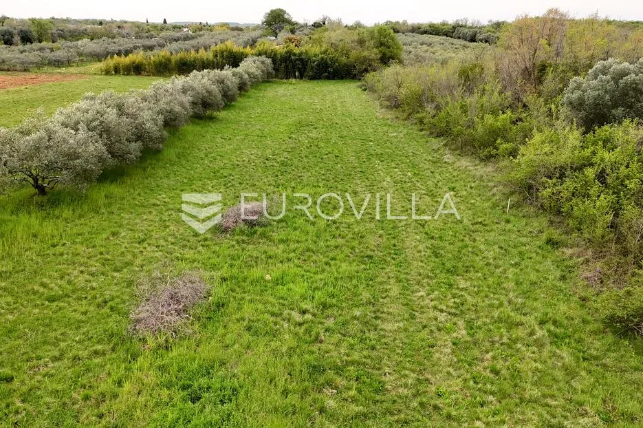 Istra, Umag, rijetka prilika Građevinsko zemljište u zelenom okruženju nadomak mora
