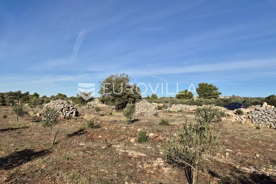 šolta, gornje selo, poljoprivredno zemljište s maslinikom površine 2.653 m² - slika 8