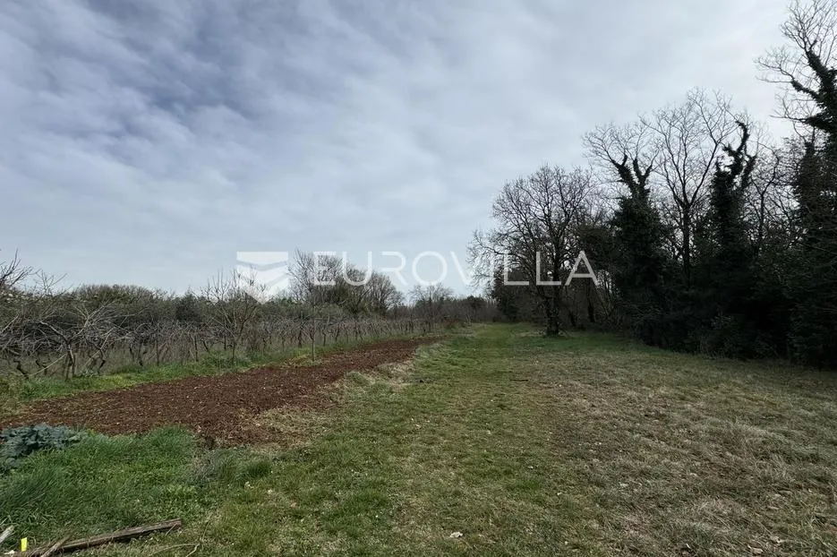Istra, Filipana- Građevinsko zemljište na lijepoj lokaciji - Filipana, Marčana