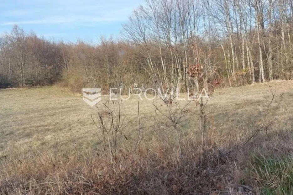 žminj, veliko poljoprivredno zemljište uz sami asfalt i vile s bazenima - slika 6