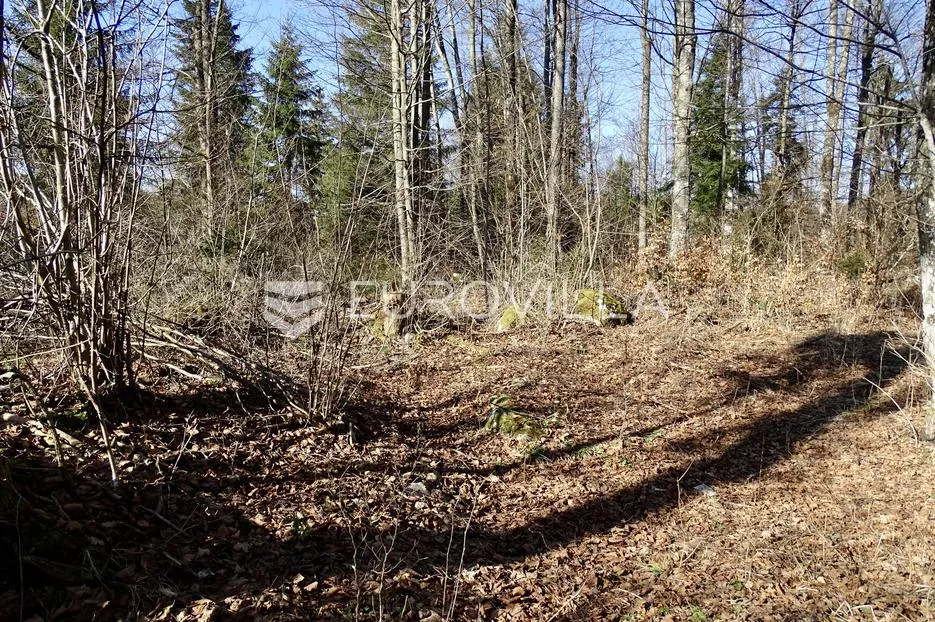 delnice, lučice, atraktivan građevni teren površine 6.919 m² - slika 4
