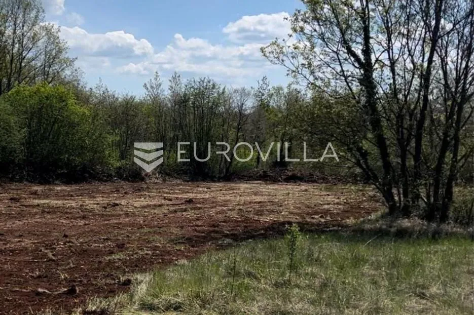 tinjan, kringa, građevinsko zemljište 855 m² na mirnoj lokaciji - slika 3