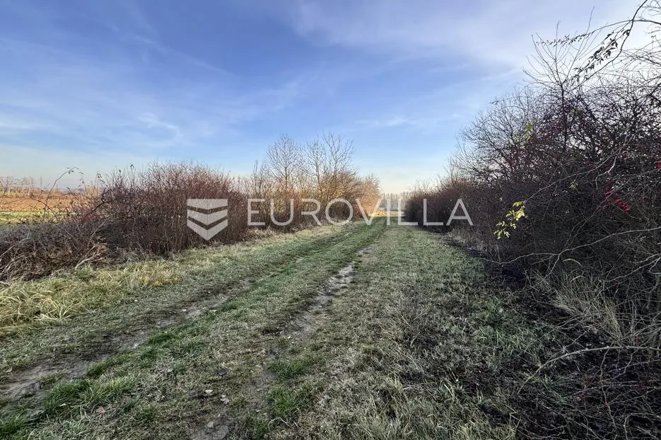 piškorevci, voćnjak 17541 m² - slika 2