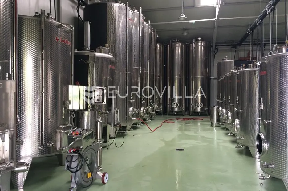 kneževi vinogradi, zmajevac, opremljena i uhodana vinarija - slika 14