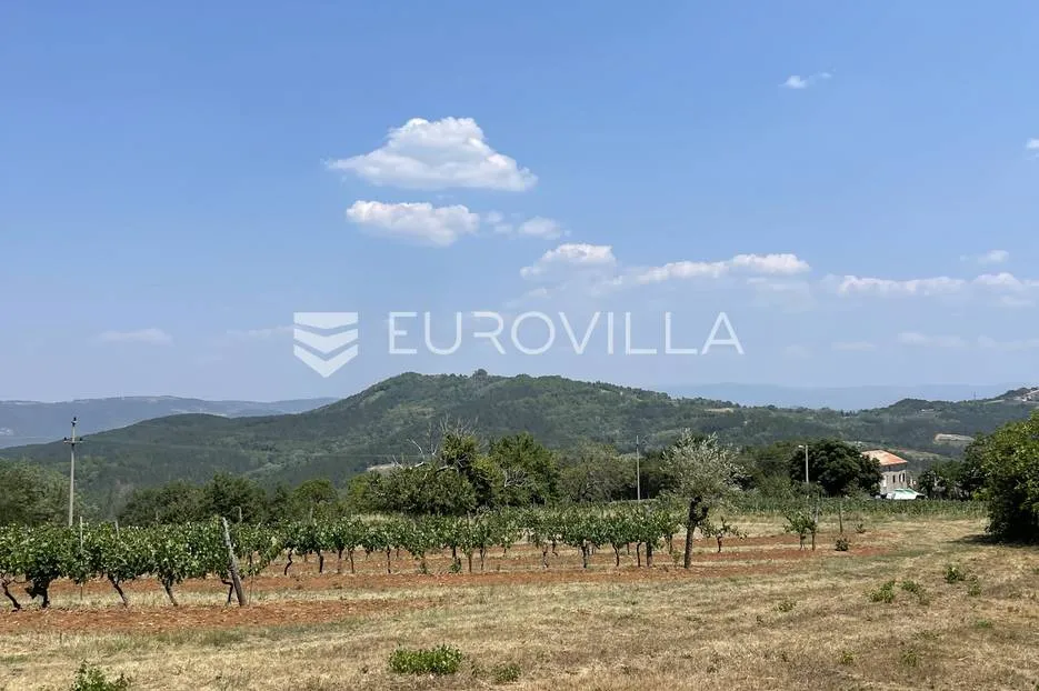 Istra, Rakotule, građevinsko zemljište s ishodovanom dozvolom za villu s bazenom, 1046 m² - Rakotule, Karojba
