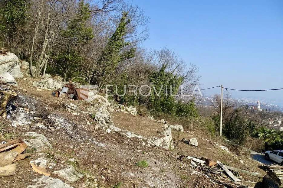 matulji, rukavac, veliki poljoprivredno/građevinski teren 7078 m² - slika 2