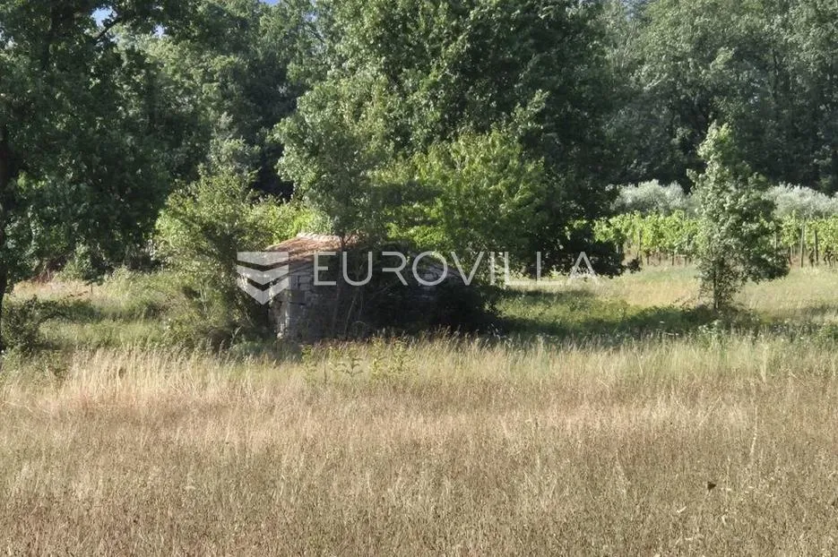 kaštelir, cerjani, poljoprivredno zemljište 32619 m² - slika 2