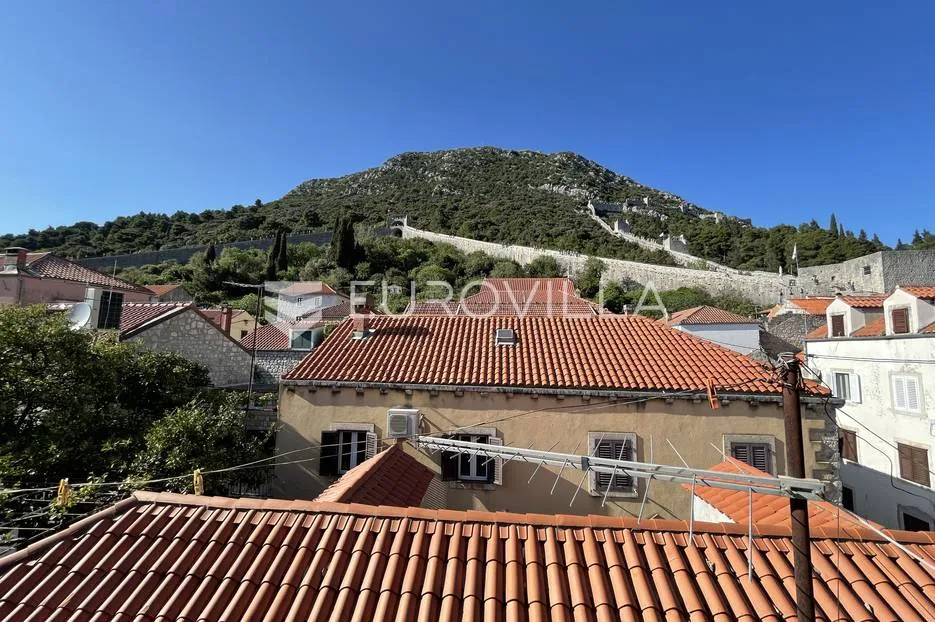 ston, tradicionalna kamena kuća, 450 m² - slika 9