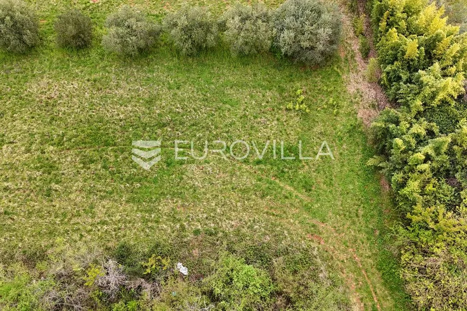 istra, umag, rijetka prilika građevinsko zemljište u zelenom okruženju nadomak mora - slika 2