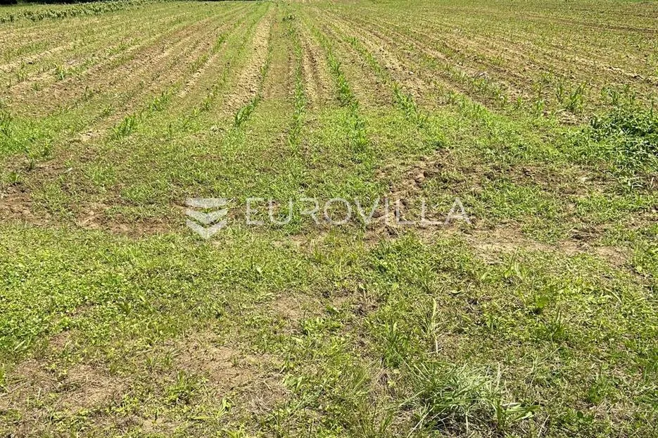 velika gorica, ključić brdo građevinsko zemljište 5000 m² - slika 2