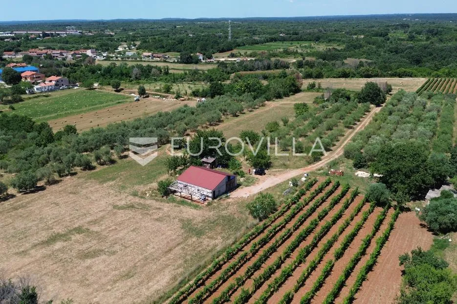 istra, vodnjan, gospodarska zgrada s pomoćnim objektom na prostranom zemljištu - slika 2