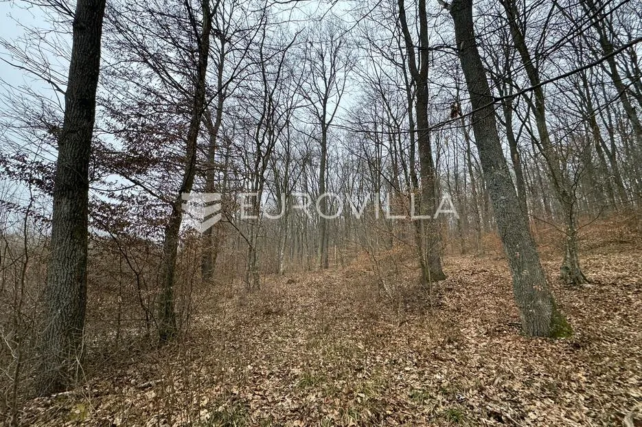 levanjska varoš, šume i zemljišta, ukupno cca 60 ha - slika 6