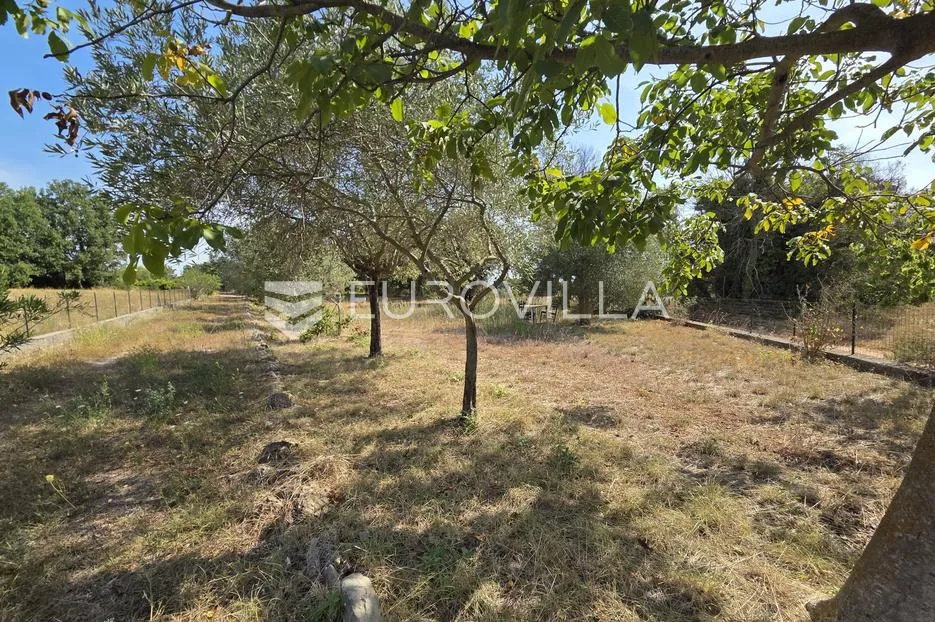 istra, pavićini, kuća za renovaciju na prostranoj parceli od 1.531 m² - slika 6