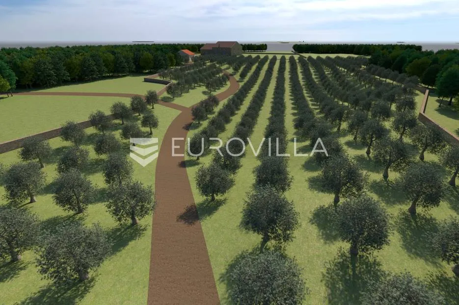 istra, bale, poljoprivredno zemljište 12200m2 s mogućnošću gradnje gospodarskog objekta - slika 3