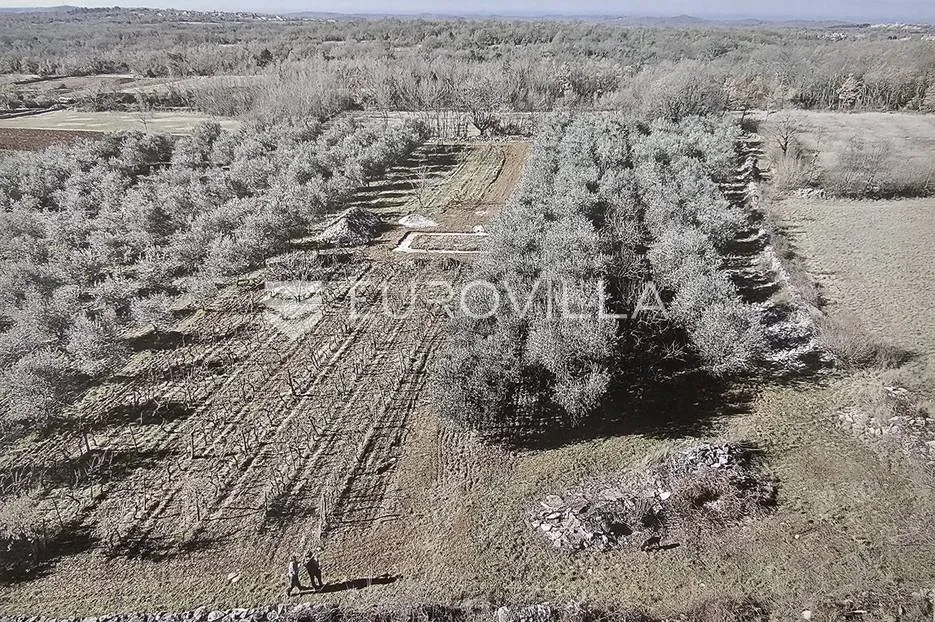 istra, kringa, građevinsko zemljište za autohtonu istarsku stanciju blizu mora - slika 9