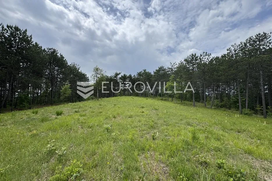 istra, grašćišće, jedinstveno građevinsko zemljište 2000 m² okruženo stoljetnom šumom 36789 m² - slika 16