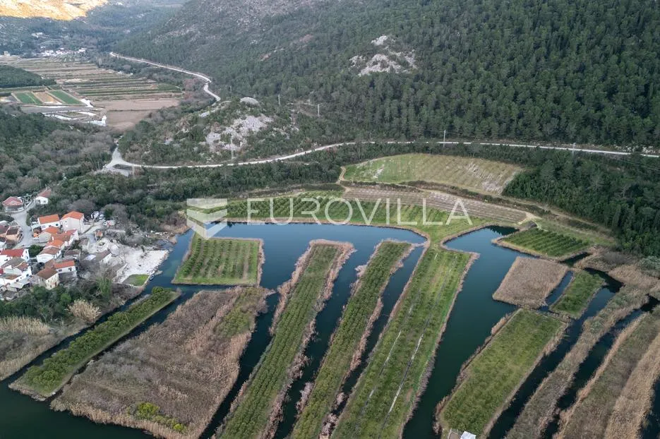 slivno, tuštevac, poljoprivredno zemljište 40000 m² - slika 4