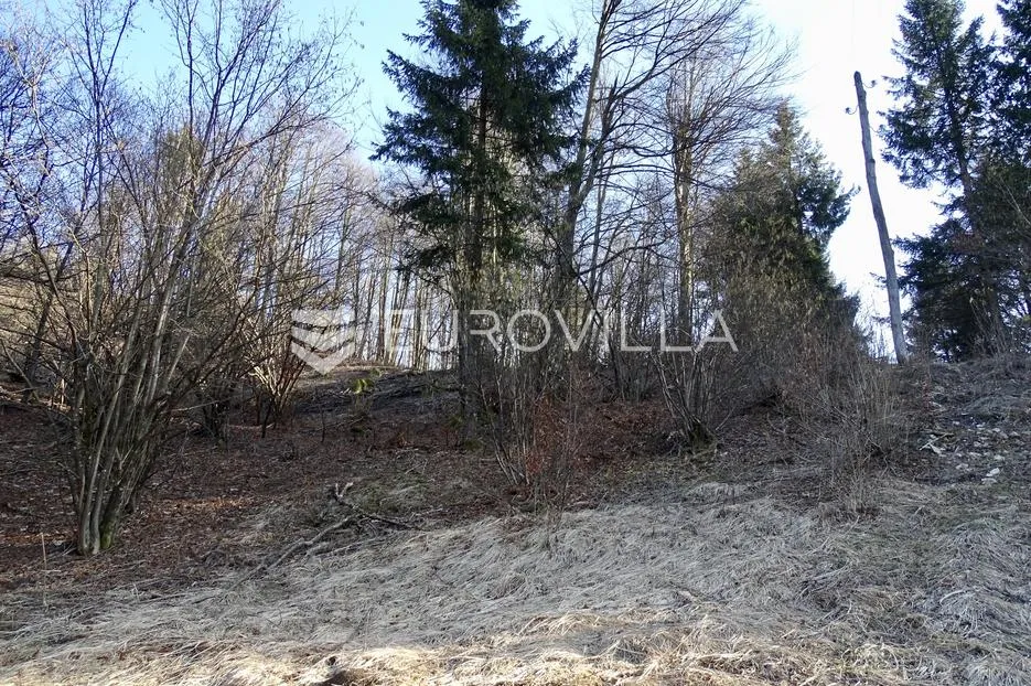 delnice, zemljište površine 7732 m² s 2200 m² građevinskog - slika 9