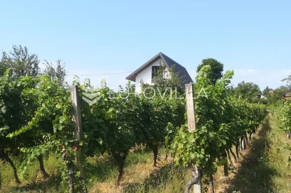 mandićevac, prekrasna vikendica 115 m² sa vinogradom i voćnjakom - slika 5
