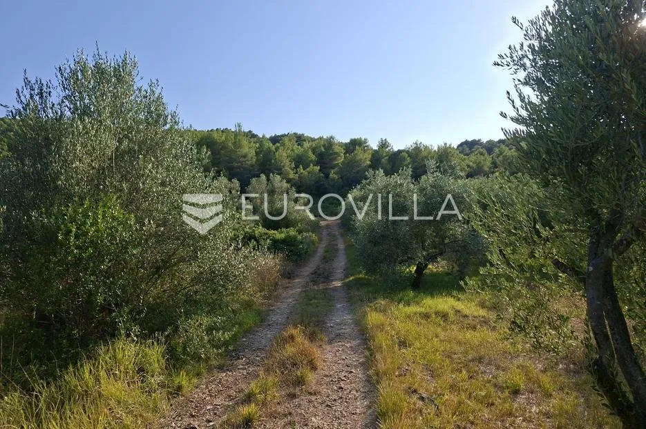 pašman, ždrelac, zemljište na atraktivnoj lokaciji - slika 2